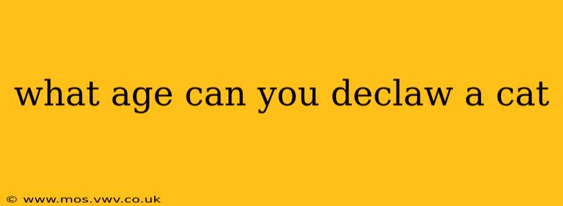 what age can you declaw a cat