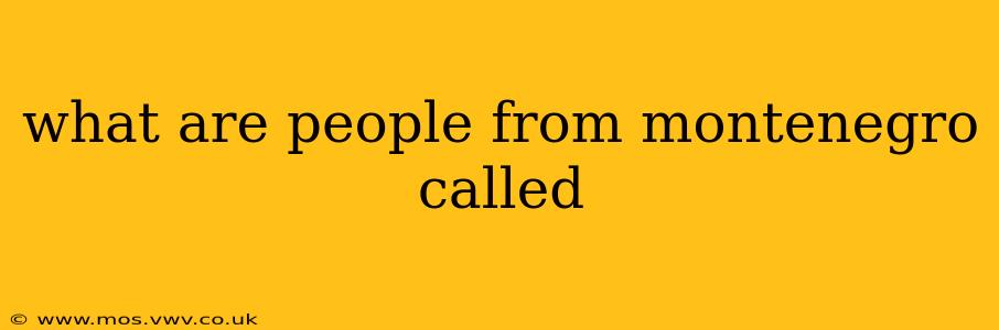what are people from montenegro called