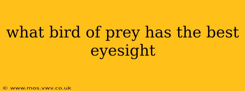 what bird of prey has the best eyesight