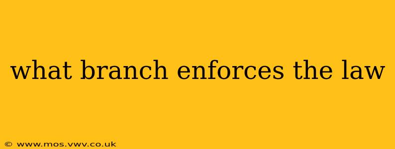 what branch enforces the law