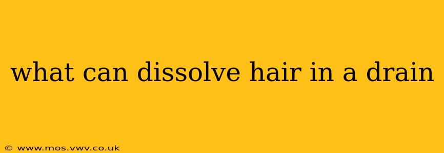 what can dissolve hair in a drain