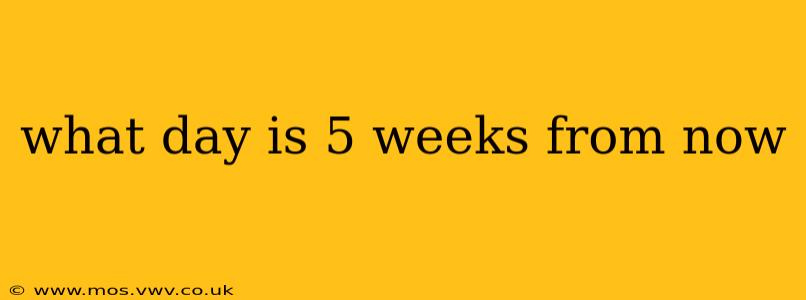 what day is 5 weeks from now