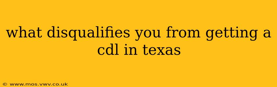 what disqualifies you from getting a cdl in texas