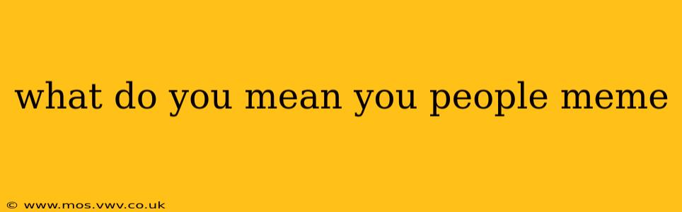 what do you mean you people meme