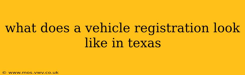 what does a vehicle registration look like in texas