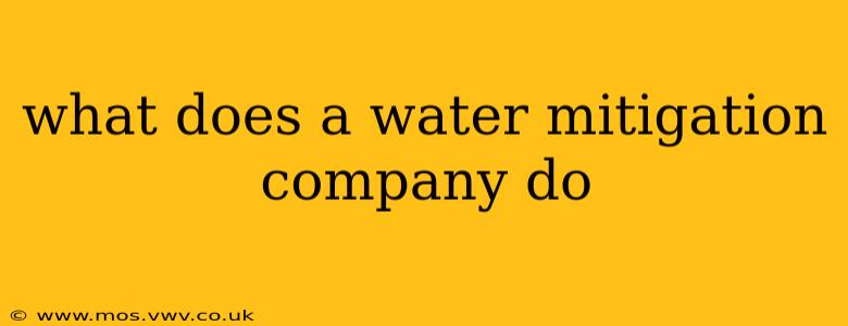 what does a water mitigation company do