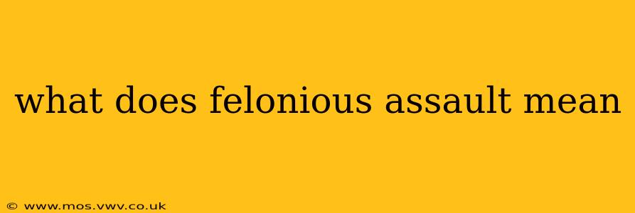 what does felonious assault mean