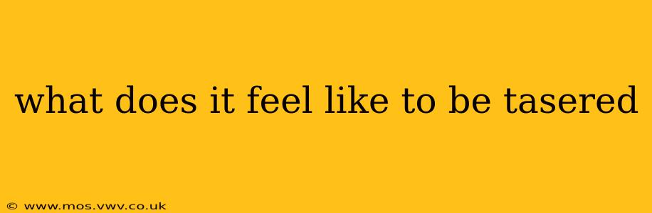 what does it feel like to be tasered