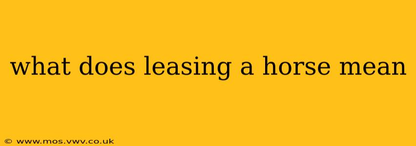 what does leasing a horse mean