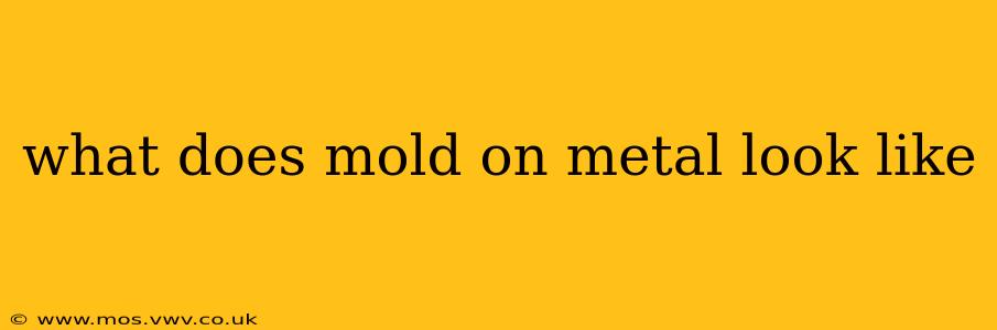 what does mold on metal look like