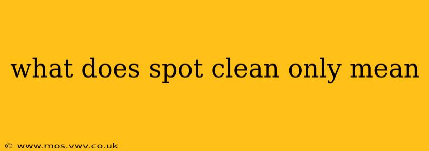 what does spot clean only mean