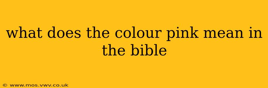 what does the colour pink mean in the bible