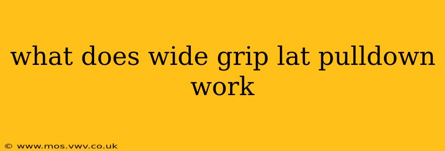 what does wide grip lat pulldown work
