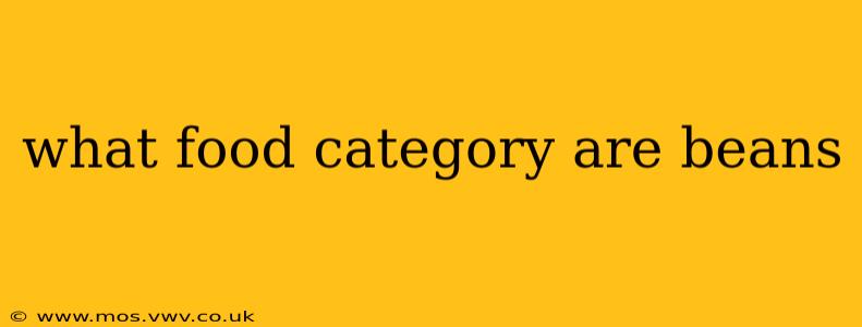 what food category are beans