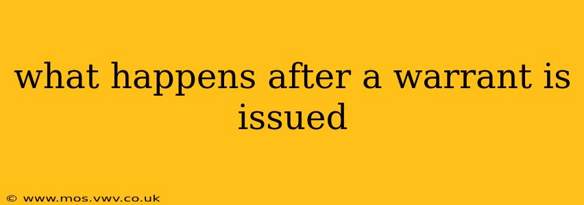 what happens after a warrant is issued
