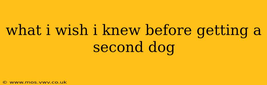 what i wish i knew before getting a second dog