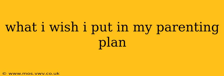 what i wish i put in my parenting plan