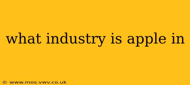 what industry is apple in