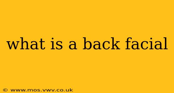 what is a back facial