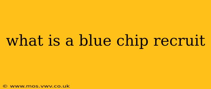 what is a blue chip recruit