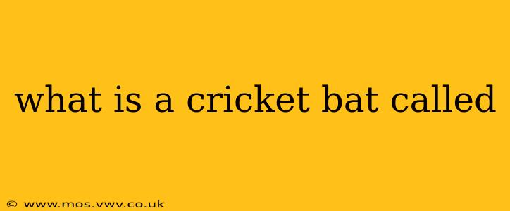 what is a cricket bat called
