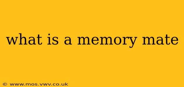 what is a memory mate