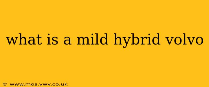 what is a mild hybrid volvo