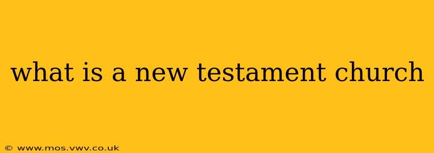 what is a new testament church