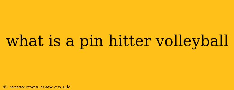 what is a pin hitter volleyball