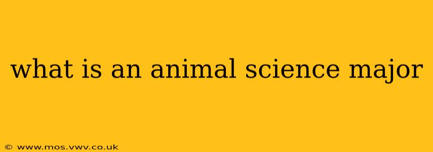 what is an animal science major