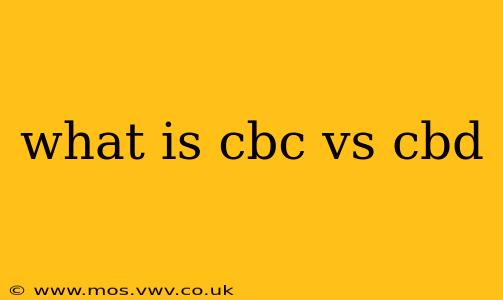what is cbc vs cbd