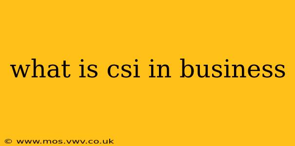 what is csi in business