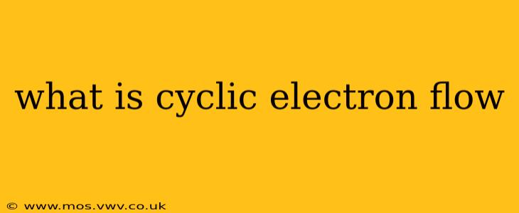 what is cyclic electron flow