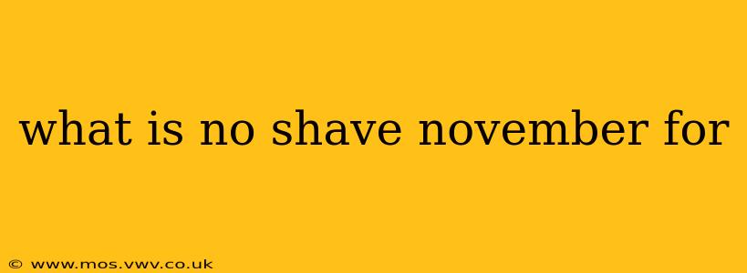 what is no shave november for