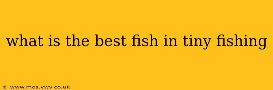 what is the best fish in tiny fishing