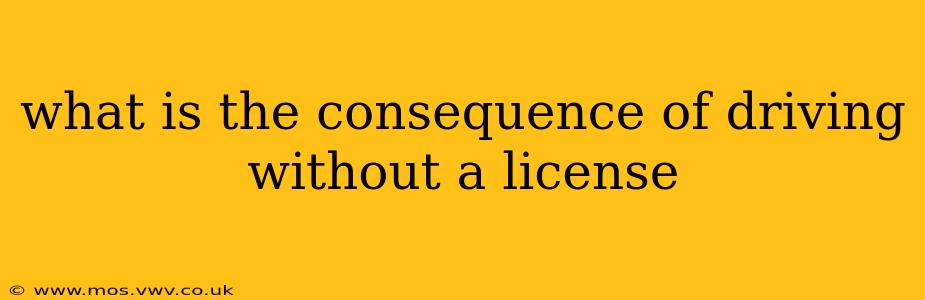 what is the consequence of driving without a license