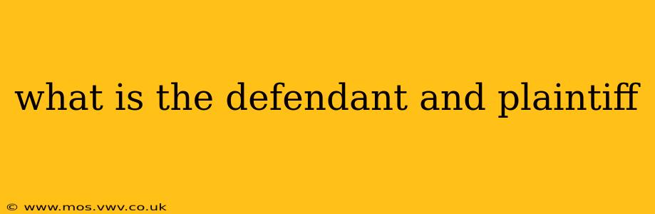 what is the defendant and plaintiff