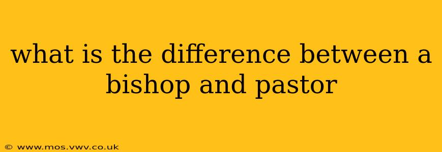 what is the difference between a bishop and pastor
