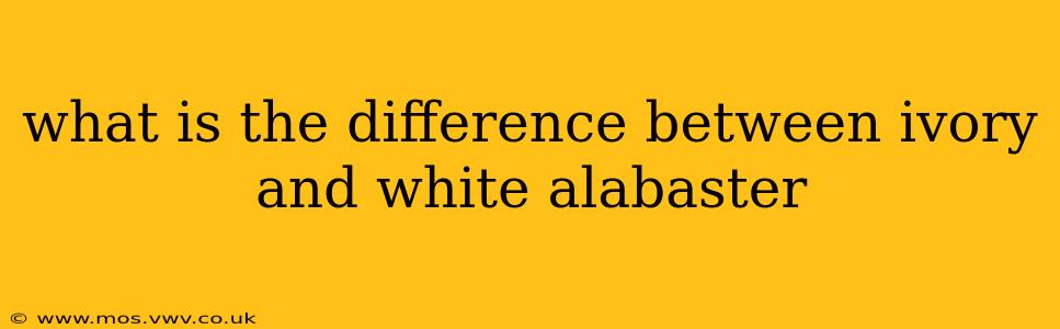 what is the difference between ivory and white alabaster