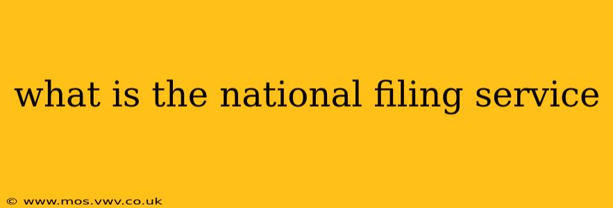 what is the national filing service