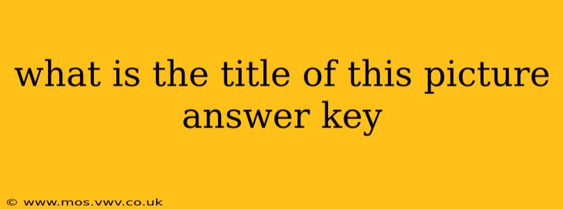 what is the title of this picture answer key