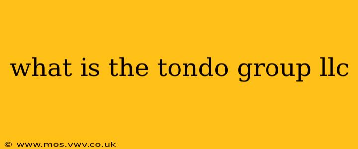 what is the tondo group llc