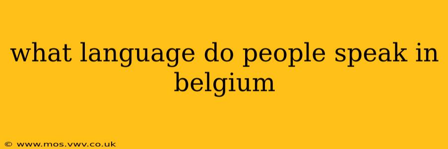 what language do people speak in belgium