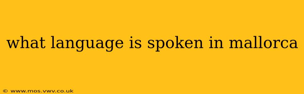 what language is spoken in mallorca