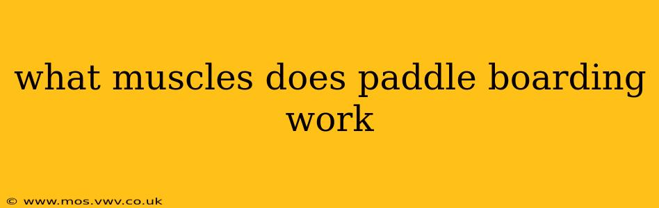 what muscles does paddle boarding work