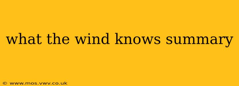 what the wind knows summary