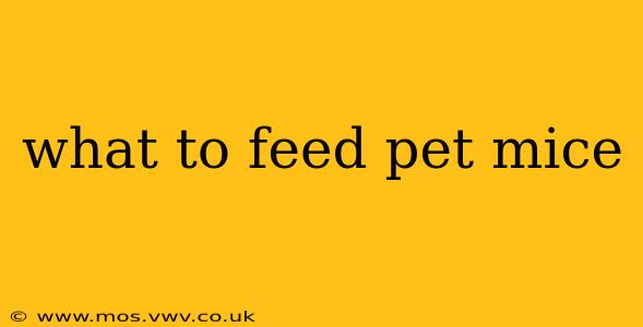 what to feed pet mice