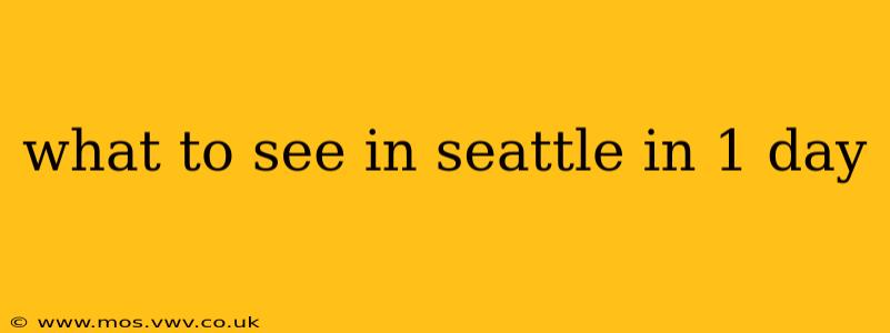 what to see in seattle in 1 day