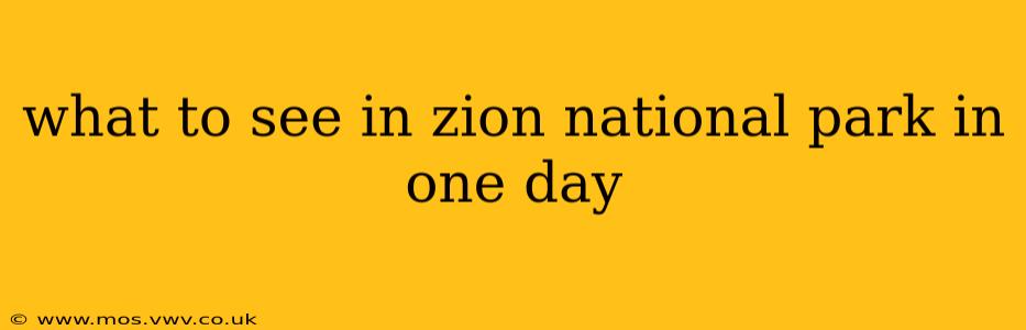 what to see in zion national park in one day