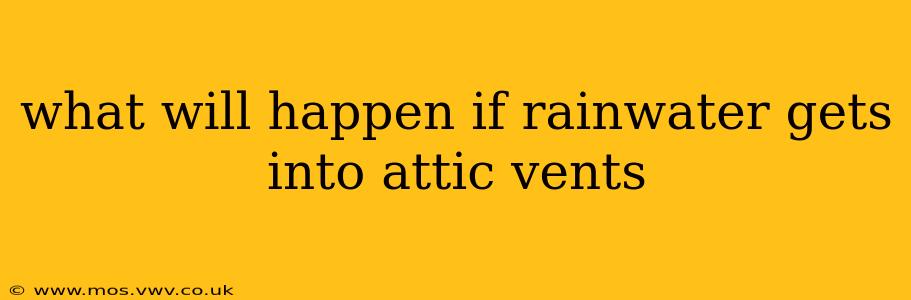 what will happen if rainwater gets into attic vents